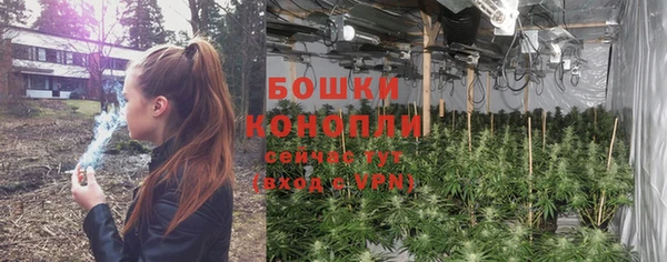 не бодяженный Верея