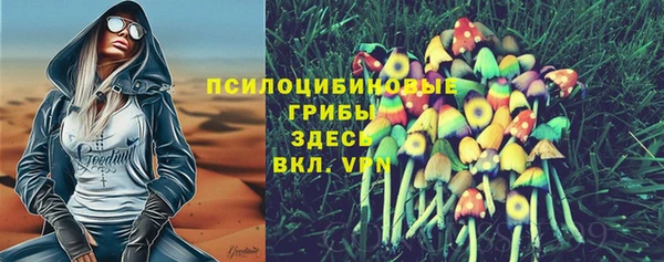 гидра Верхнеуральск