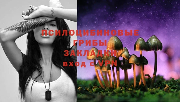 ALPHA-PVP Верхний Тагил