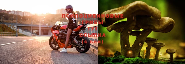 ALPHA-PVP Верхний Тагил