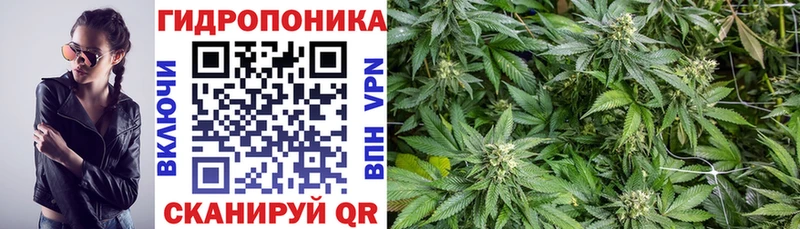 Бошки марихуана тримм  Липецк 